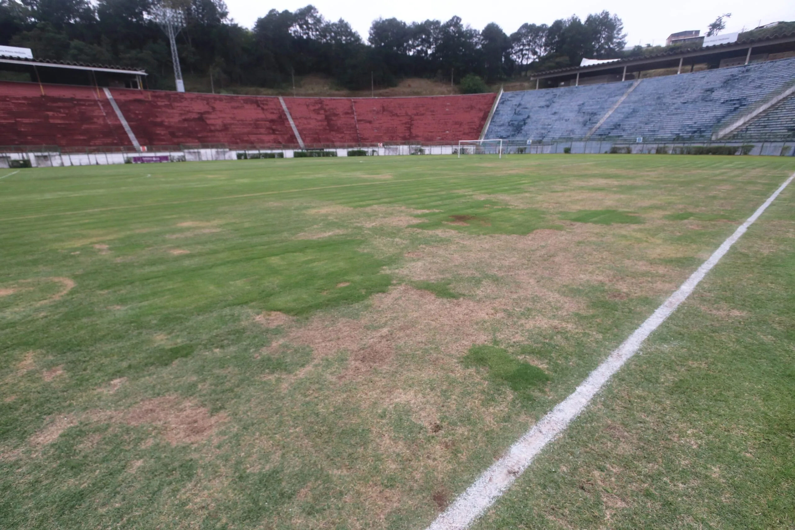 Imagem: