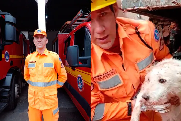 Dos bombeiros aos voluntários: conheça as histórias dos heróis anônimos da tragédia de Juiz de Fora 2 por jf tribuna de minas bombeiro