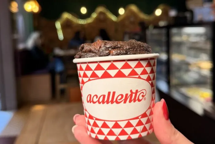 pé de cacau chocolate