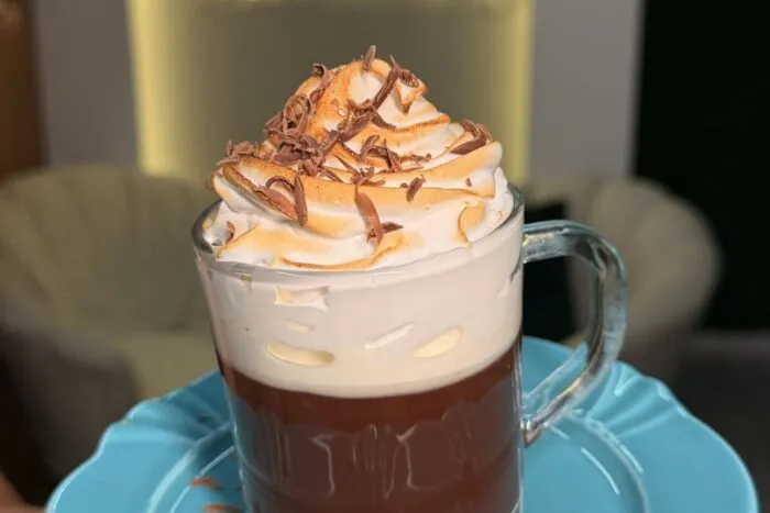 pé de cacau chocolate