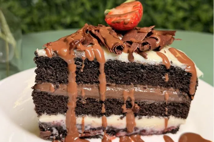 pé de cacau chocolate