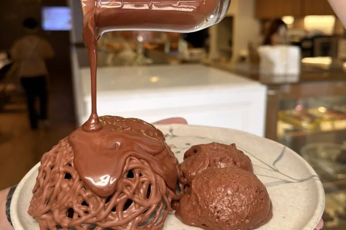 pé de cacau chocolate