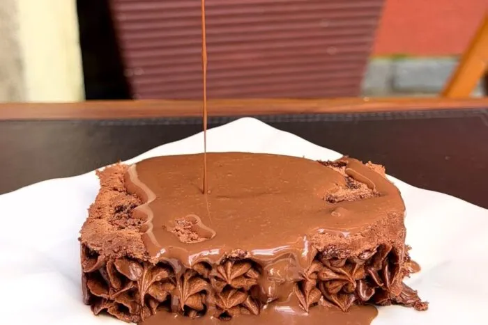 pé de cacau chocolate
