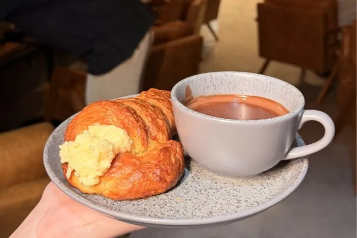 pé de cacau chocolate