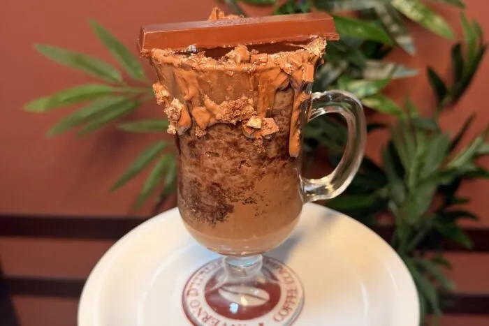 pé de cacau chocolate
