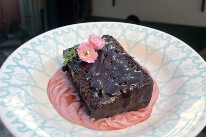 pé de cacau chocolate