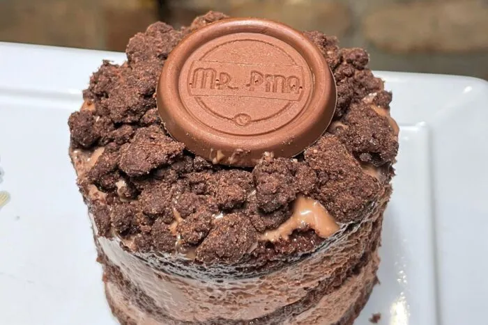 pé de cacau chocolate