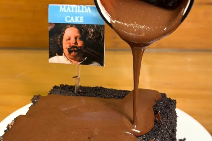 pé de cacau chocolate