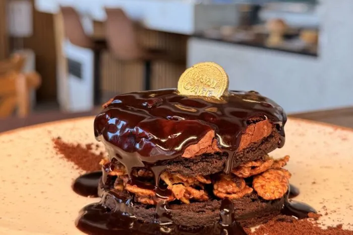 pé de cacau chocolate