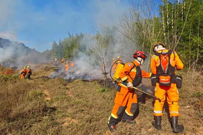 VÍDEO: Queima prescrita é realizada em área de 8,5 hectares no entorno da Mata do Krambeck 1 queima prescrita bombeiros