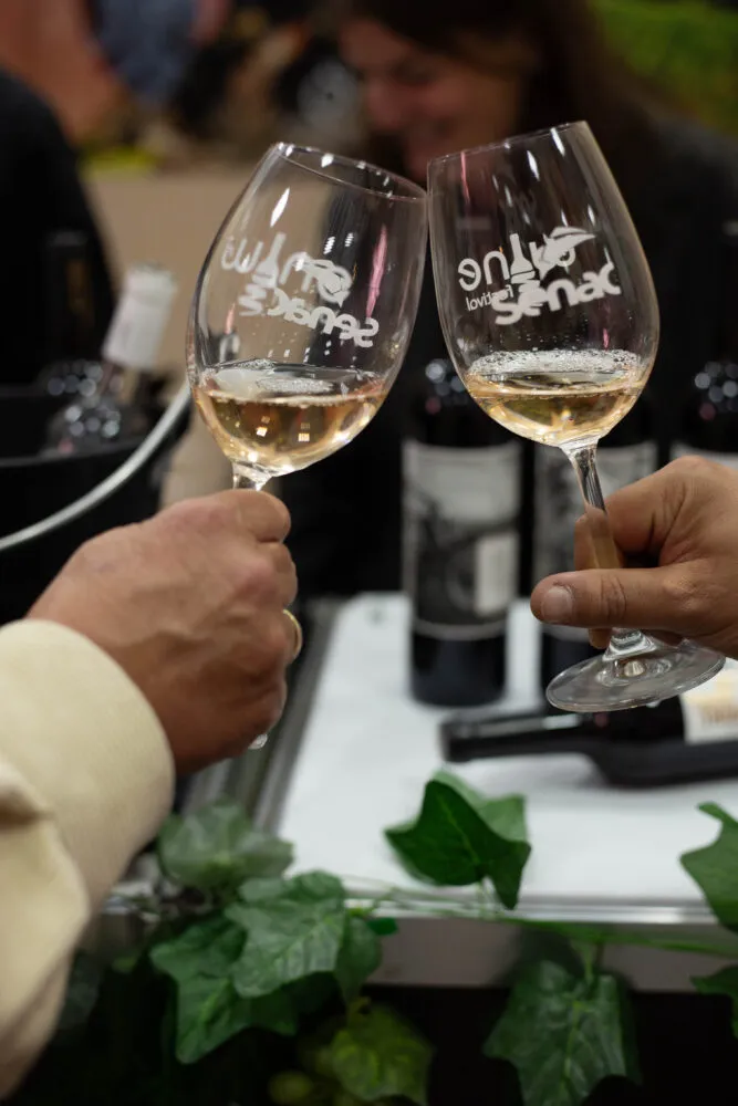JF Wine Festival reúne mais de 150 rótulos e valoriza vinhos brasileiros 3 MG 0832